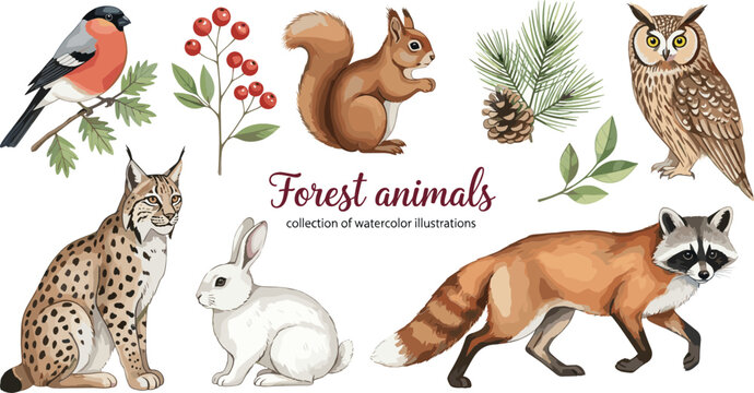 Watercolor Woodland Forest Animal Vector Set Featuring Lynx, Raccoon, Squirrel, Owl, White Rabbit, Bullfinch Bird, and Pine Cones for Nature Design Layouts