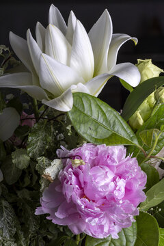 Macro shot of Peony (Paeonia lactiflora),  and lily (lilium longiflorum)  flowers in a bouquet .