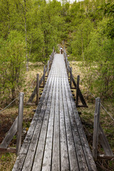 Obraz premium A suspension brigde over Driva river south of Opdal, Norway