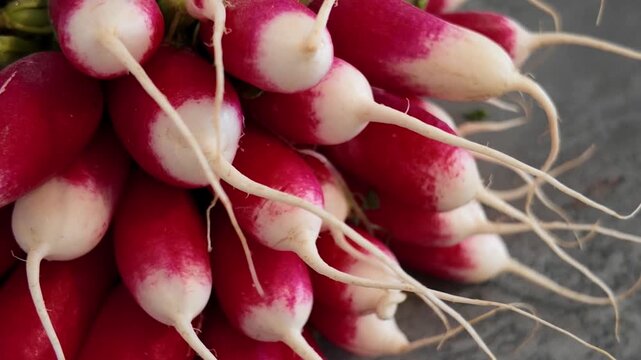 Radish close-up cinematic view. Macro shot of radish . Radish in slow motion.