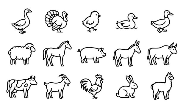 Farm Livestock Line Art Vector Icon Set with Poultry and Domestic Animals
