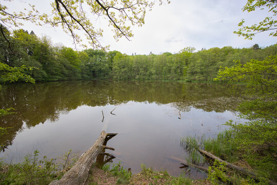 The Kleine Karrachsee near Windelsbach is a quiet, natural forest pond in Middle Franconia, Germany.