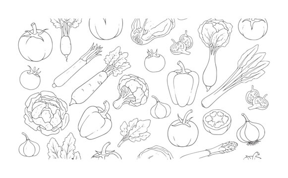 Hand drawn line pattern of assorted fresh vegetables and produce food organic healthy