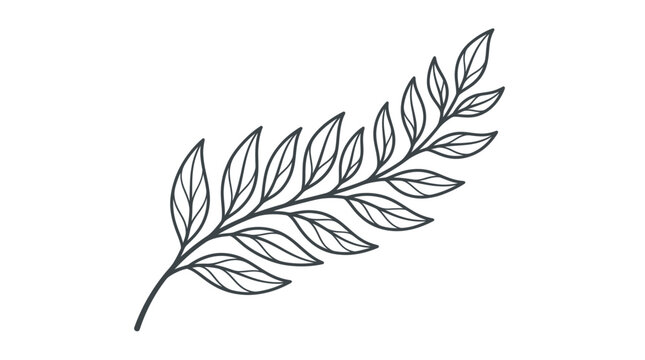 Detailed illustration of a single leaf.