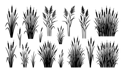 Cattail and reed silhouette vector set with riverbank and swamp plants © MdRabbi