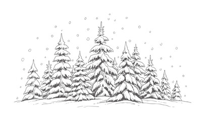 Hand drawn snow covered evergreen trees with falling snow in winter scene handdrawn © Mahin