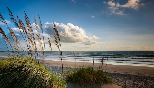 Sea Oats On The Beach