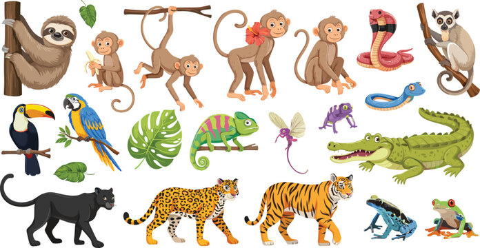 Vibrant Jungle and Rainforest Animals Vector Illustration Set featuring Sloth, Monkeys, Tiger, Leopard, Black Panther, Crocodile, Toucan, Macaw, Cobra, and Tropical Frogs