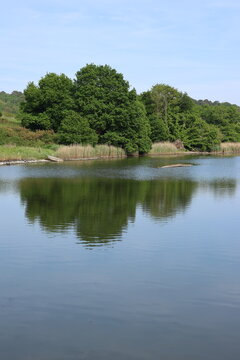 Rivi&egrave;re la La&iuml;ta &agrave; Guidel, pays de Lorient (Bretagne, Morbihan, France)