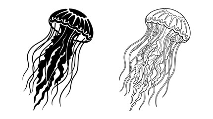 Jellyfish Line Art On White Background Two Variations Shown © Vector Hub24