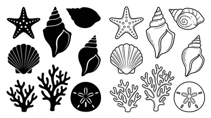 Seashells Starfish And Coral Vector Illustration On White Background © Vector Hub24