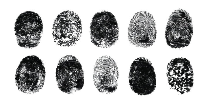 Set of ten black fingerprint patterns showing unique human thumb print textures