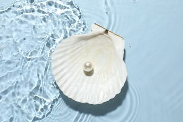 Shell with pearl in water on light blue background, top view © New Africa