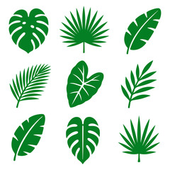 Green Tropical Leaf Vector Icons Collection with Monstera and Palm © core desain