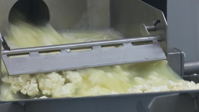 Industrial cheese curds and whey production machine