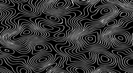 Fototapeta premium abstract topographic contour lines vector illustration design black and white monochrome abstract landscape texture, decorative cartographic elements and contemporary graphic artwork for backgrounds.