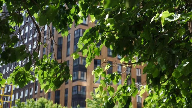 Modern residential building shot through green trees in downtown. Urban nature and architecture. nature and development. Business District with Corporate Futuristic Cityscape. 4 k video