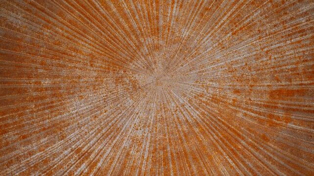Static close up shot of rusted radial metal pattern on interior tank roof showing corrosion and textured steel surface in industrial silo setting