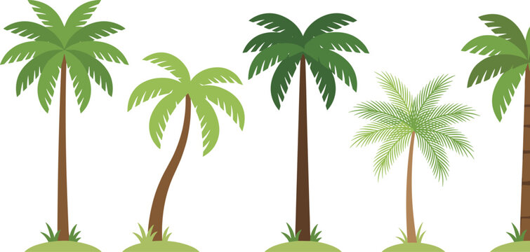 Tropical Palm Tree Vector Collection with Various Coconut Palms and Exotic Fronds for Summer Vacation, Beach Resort, and Island Tourism Designs