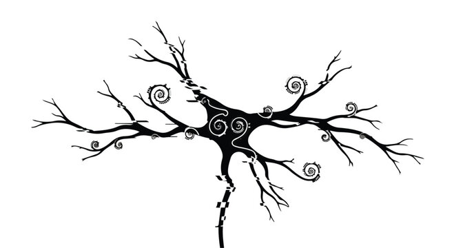 Neuron cell structure displays intricate branching patterns in this illustration.