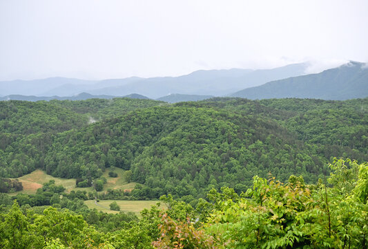 Rainy Day in the Smoky Mountains