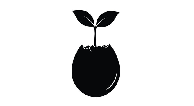 Seedling growing from a broken egg shell represents the concept of new life.