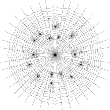 Intricate circular spider web design vector