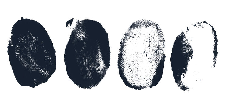 Dark charcoal fingerprint impressions isolated on transparent background.