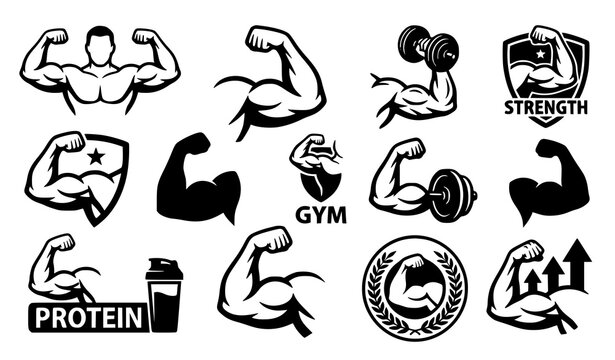 Muscular Flexed Arm Icons Vector Set for Fitness and Protein Labels