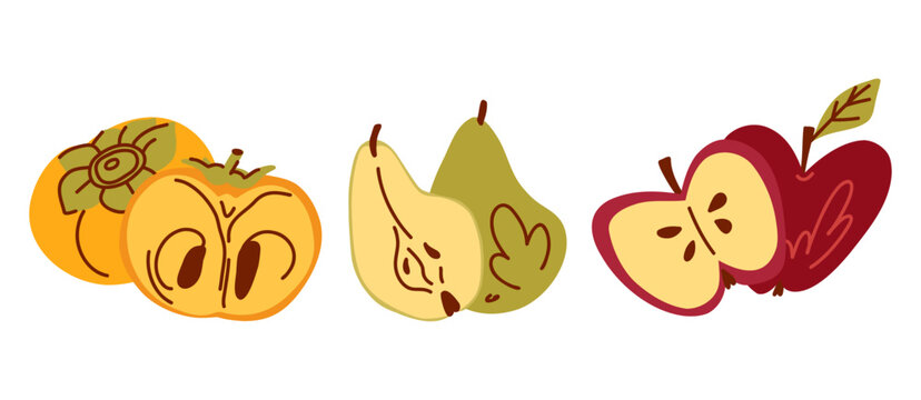 Collection of whole fruits and their halves, juicy slices of apples, pears and persimmons with pits isolated on white, harvest season, local farming