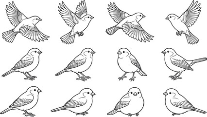 Sparrow and Small Wild Bird Vector Illustration Icon Set Featuring Flying Perching and Standing Avian Poses in Detailed Black Outline Line Art Style © R.7