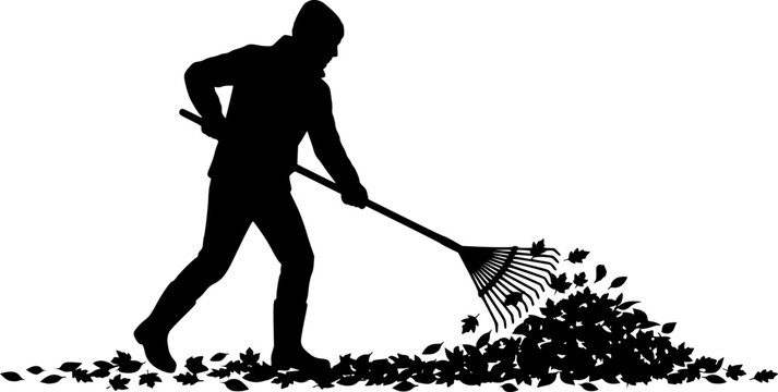 Black silhouette of person raking autumn leaves with rake isolated on white background
