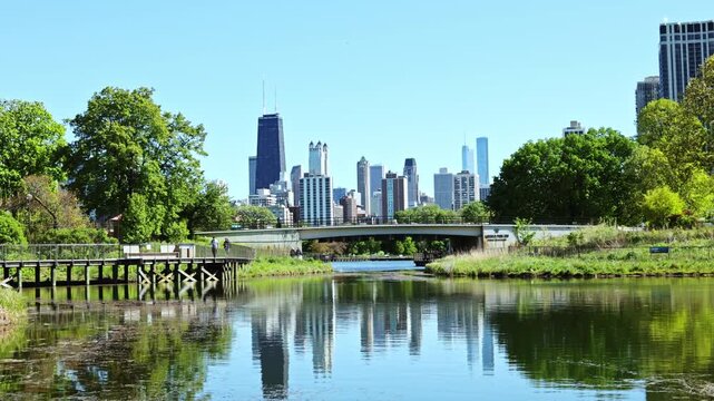 View of a river with a bridge and trees in a park. The city skyline of Chicago is visible in the distance under a clear blue sky. The scene shows urban and natural elements together.