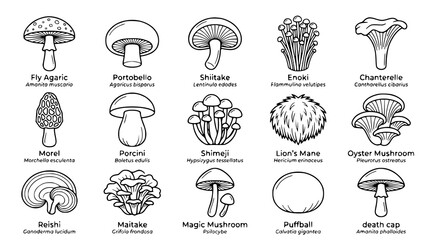 Editable mushroom icon collection in clean outline vector style © Shohel