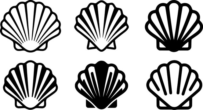Scallop Shell Icons Collection Featuring Black and White Seashell Silhouettes for Ocean, Beach, Marine, and Coastal Designs