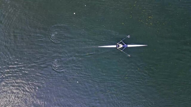 Aerial top-down drone view of a single scull rower training on calm dark water in summer the slender boat and oars leaving soft ripples in a minimalist water sport scene with copy space.