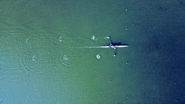 Aerial top-down drone view of a single scull rower training on green water in summer the boat and oars leaving a trail of circular ripples in a minimalist and tranquil water sport scene.
