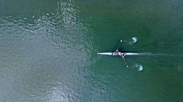 Aerial top-down drone view of a single scull rower training on calm green water in summer the boat and extended oars leaving soft circular ripples in a minimalist water sport scene.