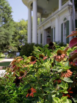 Historic Antebellum Home In Rural East TX