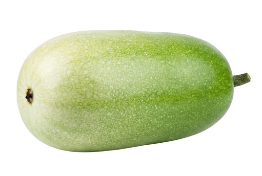 Single Fresh Green Winter Melon Isolated