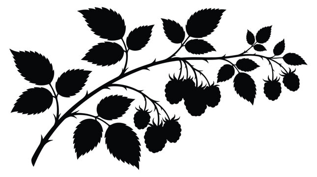 Raspberry branch with leaves and fruit black silhouette