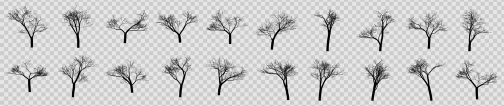 Mega collection of 20 black bare tree silhouettes. Large set of leafless winter trees and dead trunks isolated on transparent background for landscape architecture and spooky design.