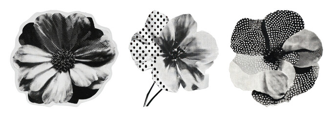 Obraz premium PNG Vintage floral collage art on transparent background