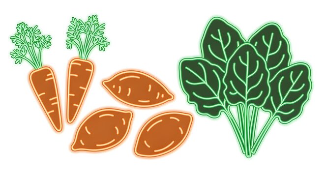 Carrots, sweet potatoes, spinach rendered in neon outline glow, isolated on pure white background, no shadows
