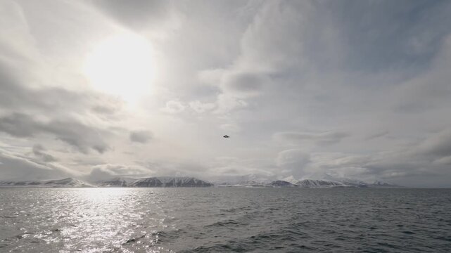 Northern Fulmar Gliding Over Arctic Ocean in Svalbard, Norway