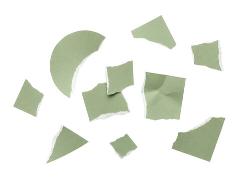 Scattered Small Torn Green Paper Fragments on White