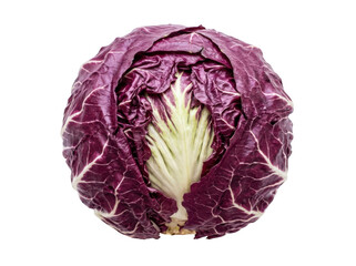 Obraz premium Fresh radicchio head isolated on transparent background