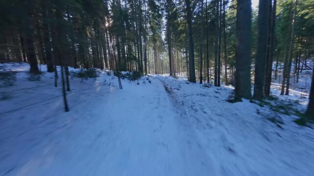 FPV Drone Shot Racing Fast Inside Snowy Pine Forest Pth