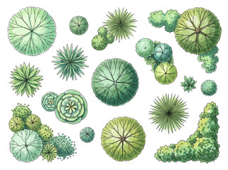 Top View Tree Symbols and Plant Vectors for Architectural CAD Landscape Design © Tom