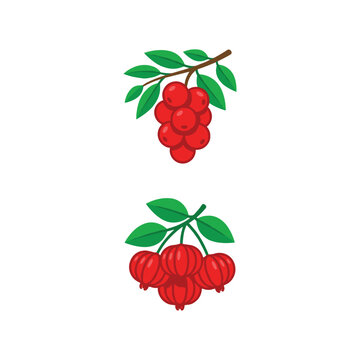 Pixel Art Illustration Of Fresh Red Berries And Surinam Cherry Bunches Isolated On White Background